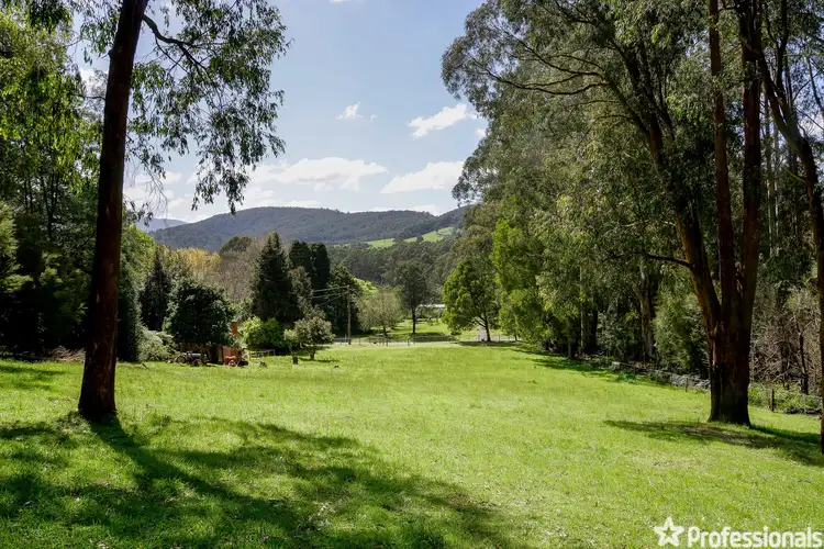 208 Big Pats Creek Road, Big Pats Creek VIC 3799