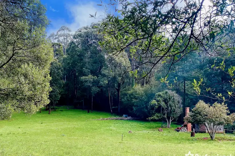 Second view of Homely land listing, 208 Big Pats Creek Road, Big Pats Creek VIC 3799