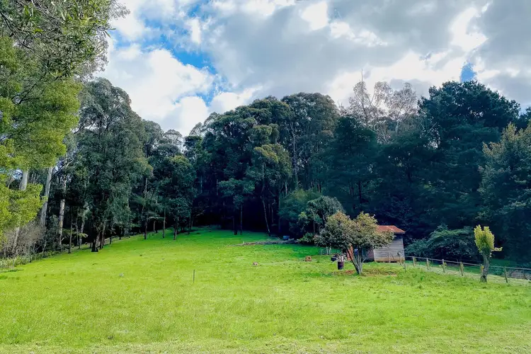 Third view of Homely land listing, 208 Big Pats Creek Road, Big Pats Creek VIC 3799