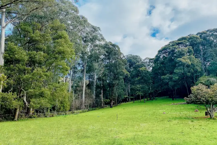 Fourth view of Homely land listing, 208 Big Pats Creek Road, Big Pats Creek VIC 3799