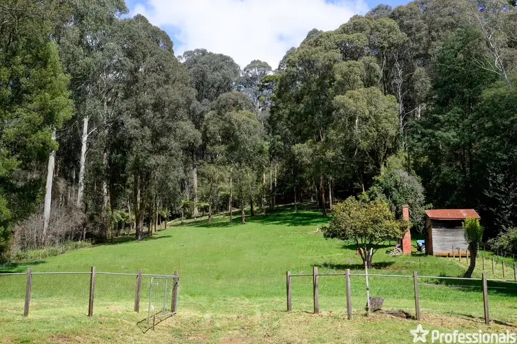 Sixth view of Homely land listing, 208 Big Pats Creek Road, Big Pats Creek VIC 3799