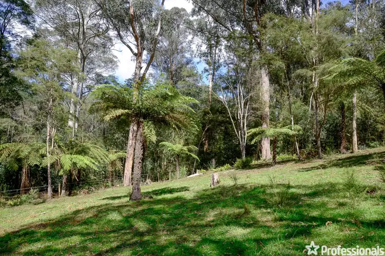 Seventh view of Homely land listing, 208 Big Pats Creek Road, Big Pats Creek VIC 3799