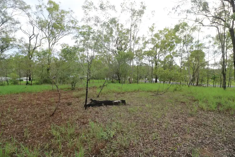 LOT 310 Wallace Street, Apple Tree Creek QLD 4660