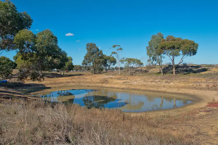 Seventh view of Homely house listing, 124 Hopetoun Park Road, Hopetoun Park VIC 3340
