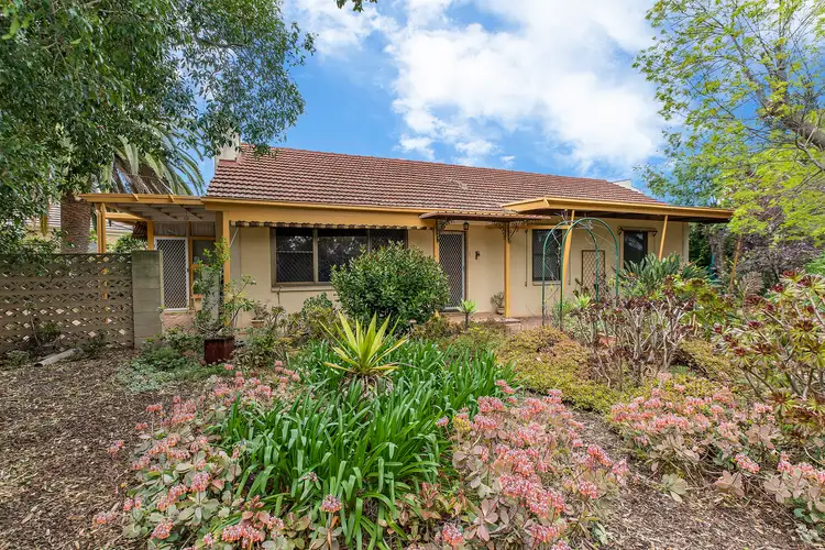 Second view of Homely house listing, 30 Trott Grove, Oaklands Park SA 5046