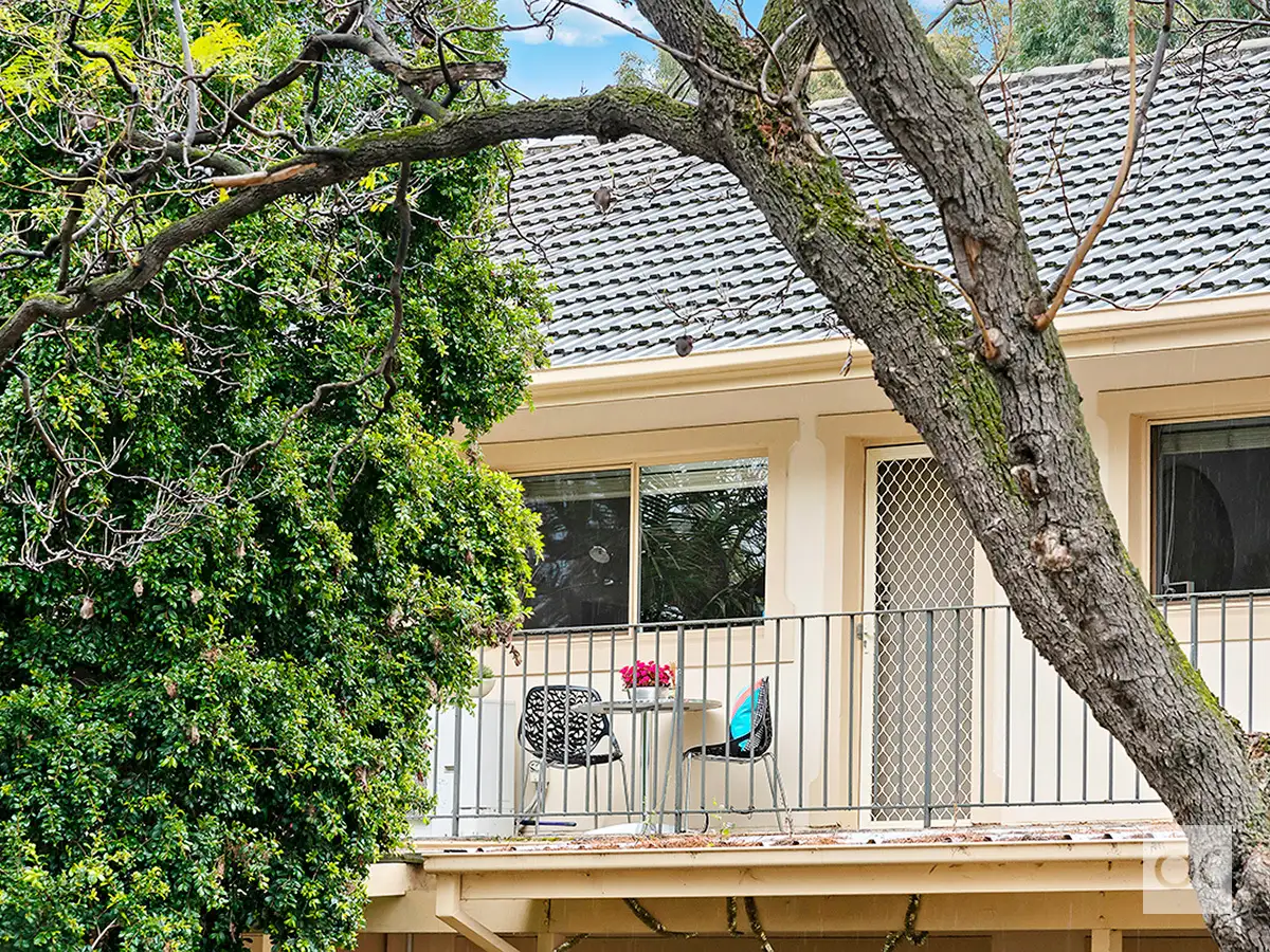 Main view of Homely unit listing, 5/229 Cross Road, Cumberland Park SA 5041