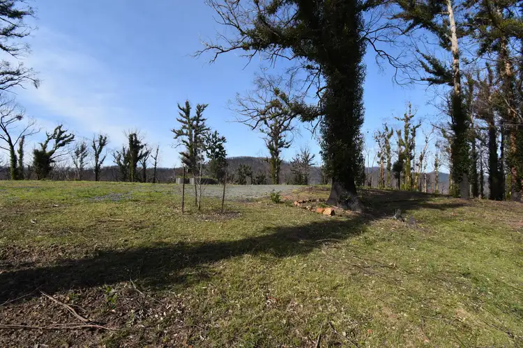 Second view of Homely rural property listing, 97 Welshs Road, Wandella NSW 2550