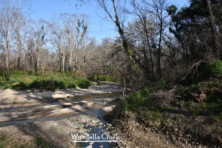 Seventh view of Homely rural property listing, 97 Welshs Road, Wandella NSW 2550