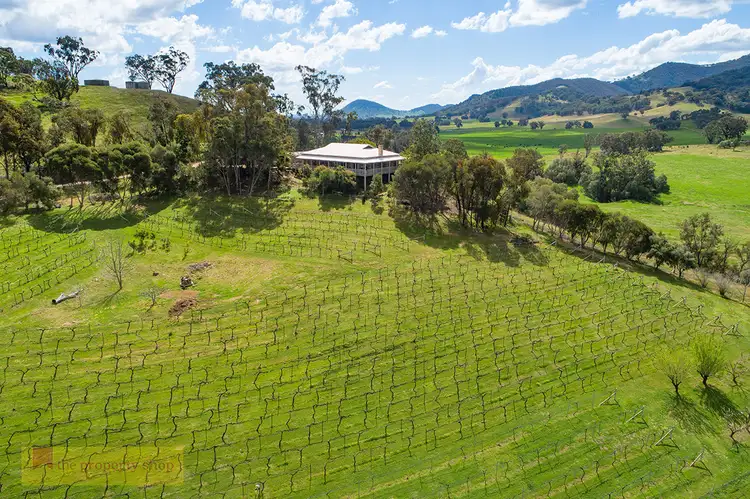 Third view of Homely rural property listing, 1179 Castlereagh Highway, Mudgee NSW 2850
