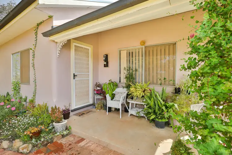 Second view of Homely rural property listing, 16 Pine Street, Red Cliffs VIC 3496
