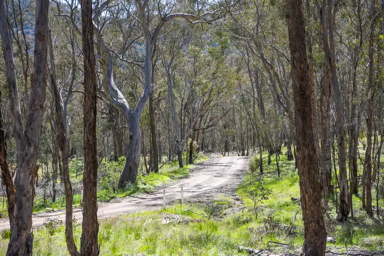Main view of Homely rural property listing, 559 Maitland Bar Road, Mudgee NSW 2850