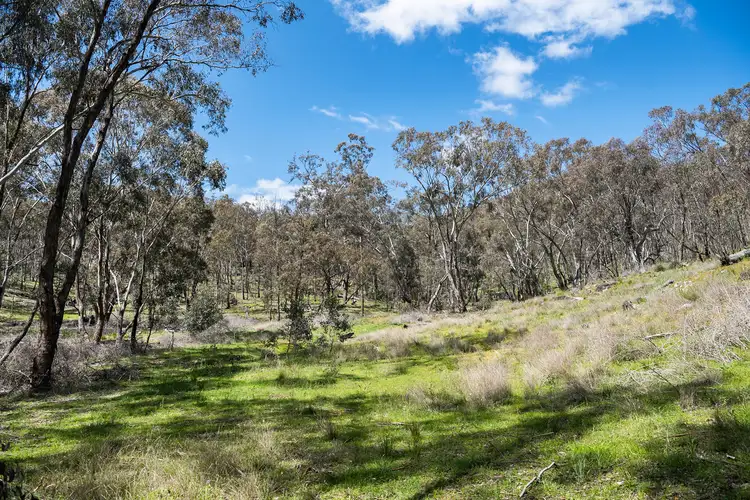 Fourth view of Homely rural property listing, 559 Maitland Bar Road, Mudgee NSW 2850
