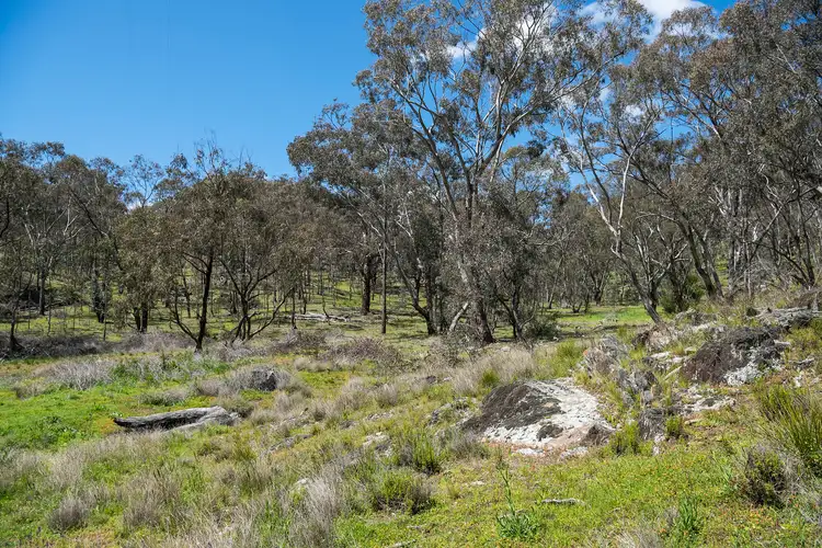 Fifth view of Homely rural property listing, 559 Maitland Bar Road, Mudgee NSW 2850
