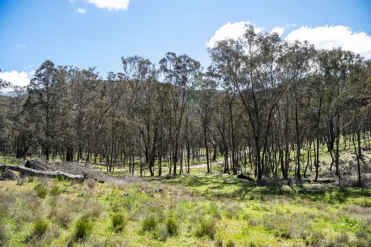 Sixth view of Homely rural property listing, 559 Maitland Bar Road, Mudgee NSW 2850