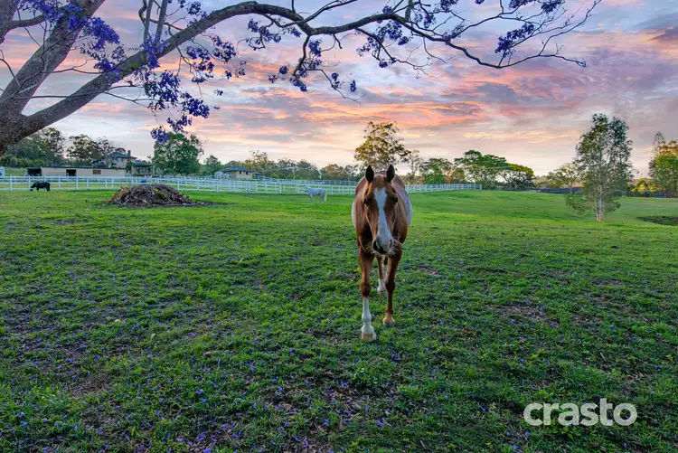 Fifth view of Homely house listing, 75 Heritage Drive, Clagiraba QLD 4211