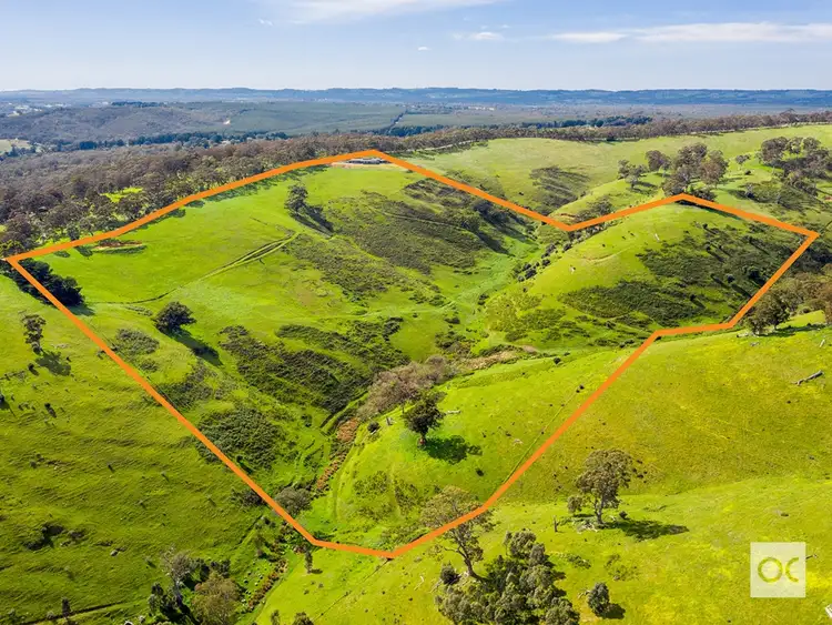 Fifth view of Homely rural property listing, 164 Toops Hill Road, Mclaren Flat SA 5171