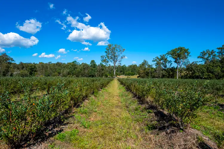 Fourth view of Homely rural property listing, 1 Franklins Road, Calamia NSW 2460