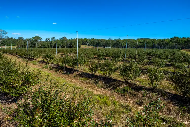Fifth view of Homely rural property listing, 1 Franklins Road, Calamia NSW 2460