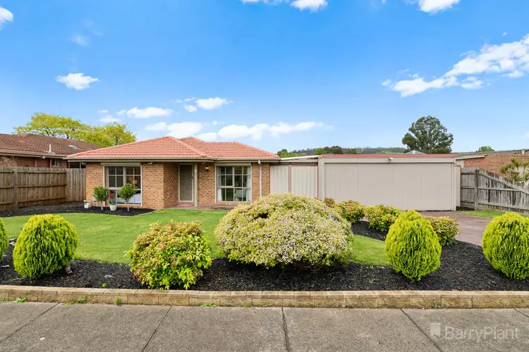 38 Amber Crescent, Narre Warren VIC 3805