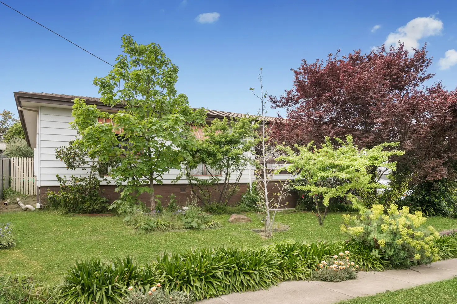 Main view of Homely house listing, 16 Specimen Hill Road, Golden Square VIC 3555
