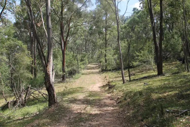 Third view of Homely rural property listing, 977 Upper Botobolar Road, Mudgee NSW 2850