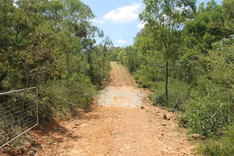 Sixth view of Homely rural property listing, 977 Upper Botobolar Road, Mudgee NSW 2850