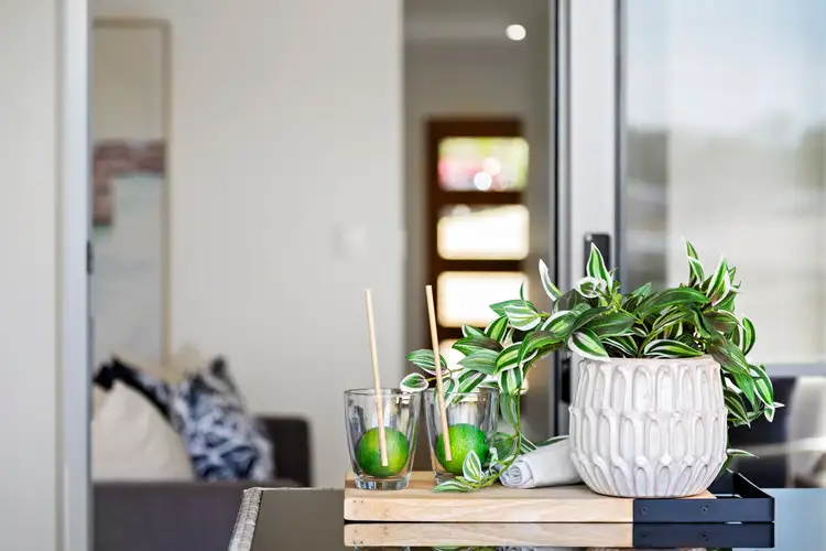Second view of Homely house listing, 30 Stonecurlew Street, Upper Coomera QLD 4209