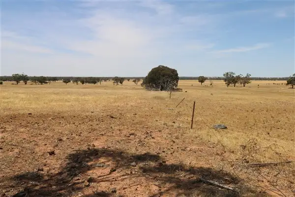 Second view of Homely rural property listing, Lot 81 Boort-Wedderburn Road, Korong Vale VIC 3520