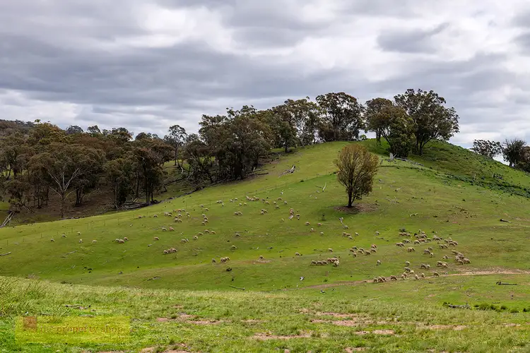 Fourth view of Homely rural property listing, Lot 73 Campbells Creek Road, Mudgee NSW 2850