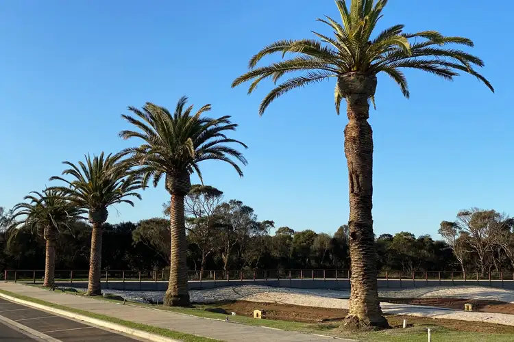Main view of Homely land listing, LOT 419 Kane Drive, St Leonards VIC 3223