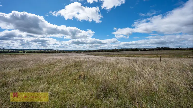 Fourth view of Homely rural property listing, 1530 Henry Lawson Drive, Mudgee NSW 2850