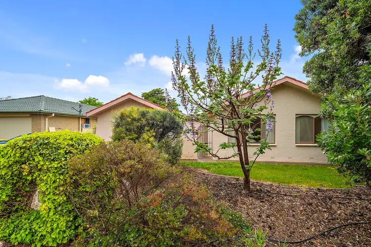 61 Livingston Avenue, Kambah ACT 2902