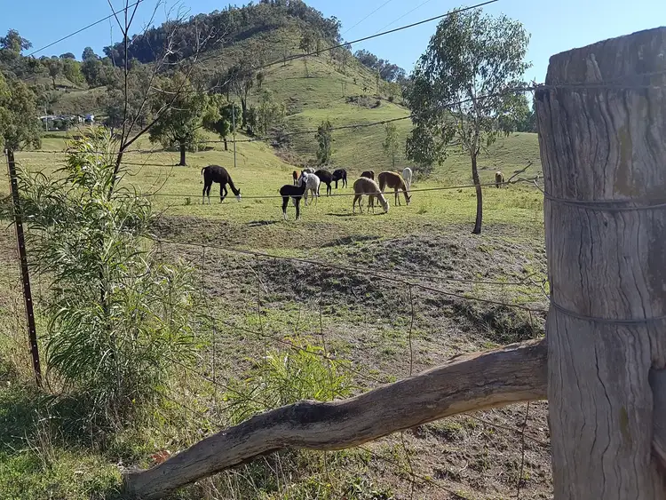 Second view of Homely rural property listing, 297 Riverlea Road, Mudgee NSW 2850