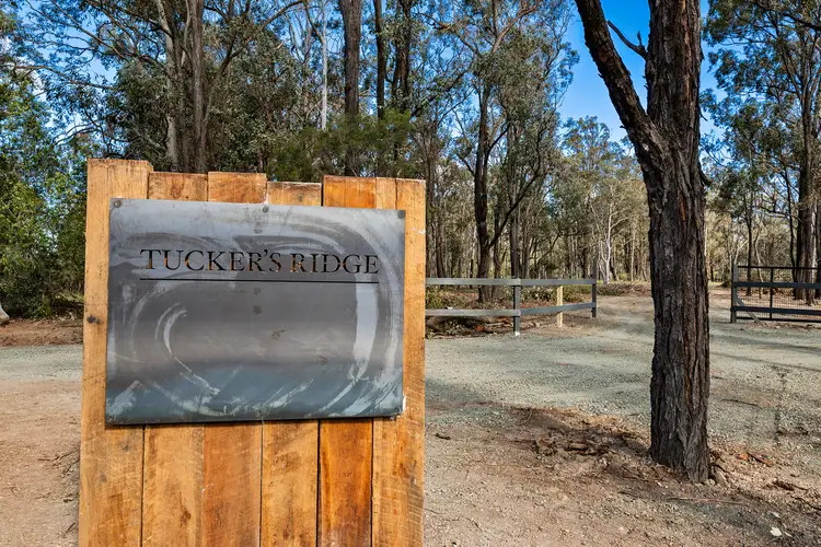 390 Tuckers Lane, Greta NSW 2334