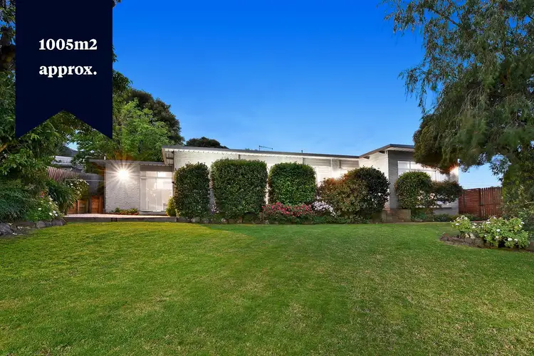 20 Nethercote Drive, Mount Waverley VIC 3149