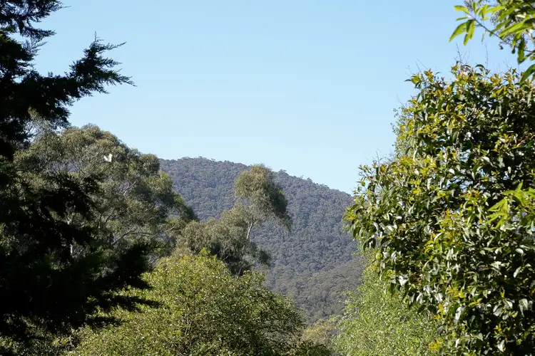 Fourth view of Homely house listing, 4 Adrienne Court, Millgrove VIC 3799