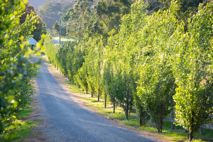 Fourth view of Homely house listing, 2168 Moss Vale Road, Kangaroo Valley NSW 2577