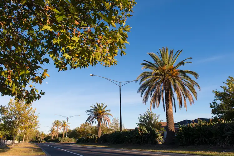 Main view of Homely land listing, LOT 590 Reardon Crescent, St Leonards VIC 3223