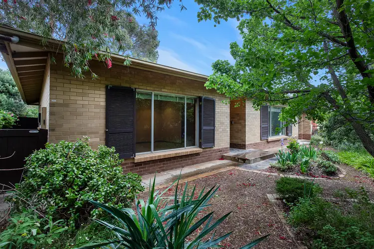 50 Sturdee Street, Linden Park SA 5065