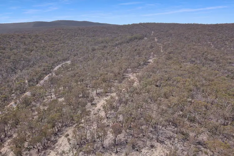 Sixth view of Homely rural property listing, Peak View Road, Numeralla NSW 2630