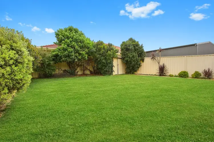 Seventh view of Homely house listing, 38 McEwan Circuit, Mount Annan NSW 2567