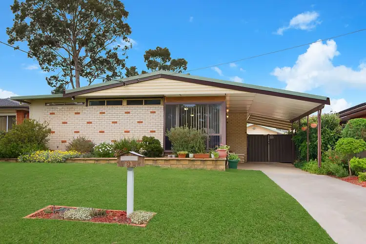 31 Chanel Street, Toongabbie NSW 2146