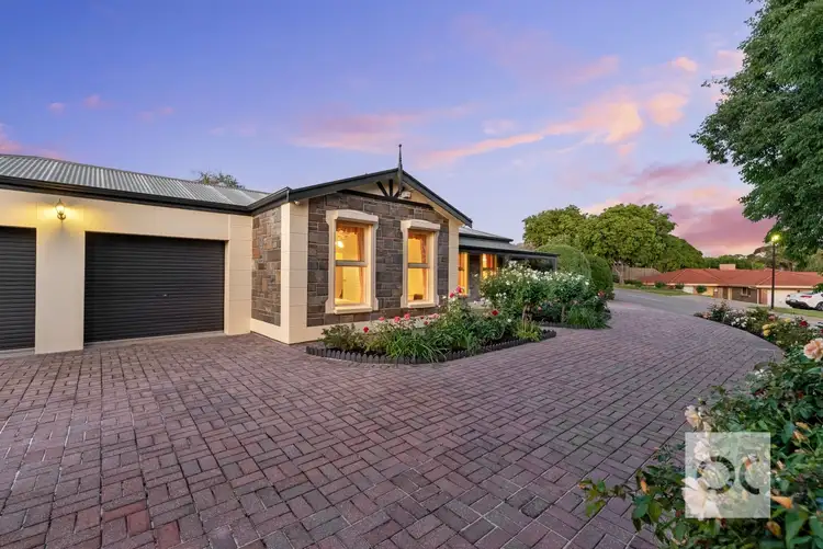Second view of Homely house listing, 19 Morrow Court, Wynn Vale SA 5127
