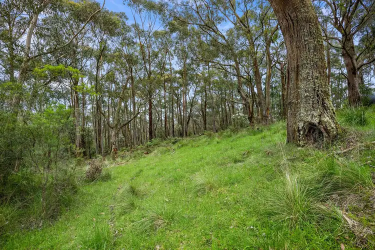Second view of Homely land listing, 125 Marks Track, Deans Marsh VIC 3235