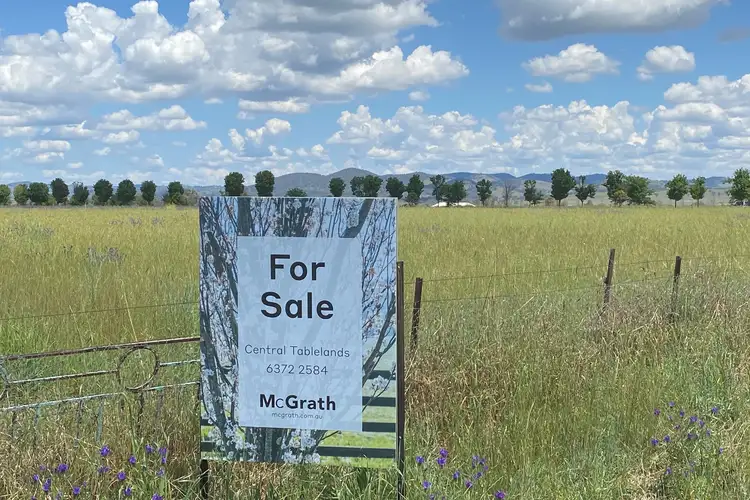 Second view of Homely rural property listing, 239 Bergalin Road, Gulgong NSW 2852