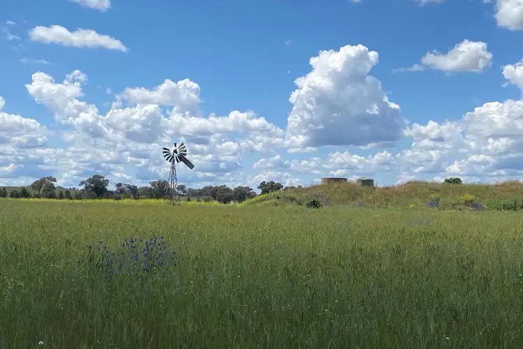 Third view of Homely rural property listing, 239 Bergalin Road, Gulgong NSW 2852