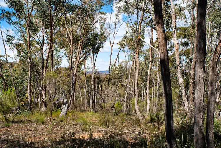 Fourth view of Homely land listing, Ca 4 Galaxia Lane And Mcginty Road, Guildford VIC 3451