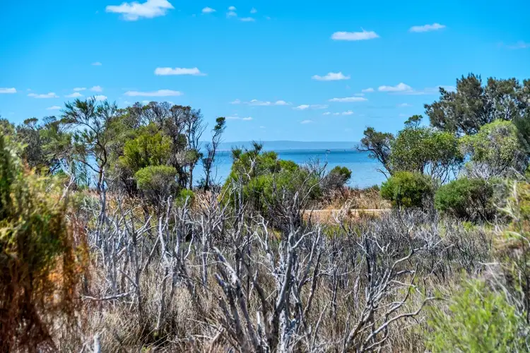 Main view of Homely land listing, 50 Governor Drive, Falcon WA 6210