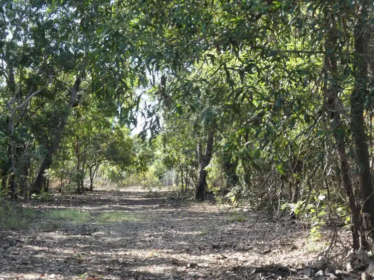 Main view of Homely land listing, LOT 3109, 115 Zuleika Road, Dundee Beach NT 840