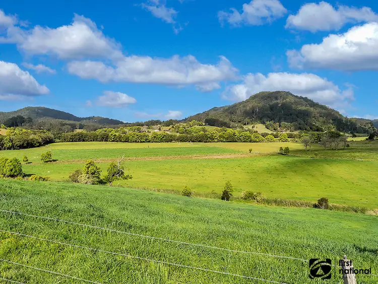 Fourth view of Homely rural property listing, 219 South Island Loop Road, Upper Orara NSW 2450